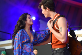 Shawn Mendes Camila Cabello breakup